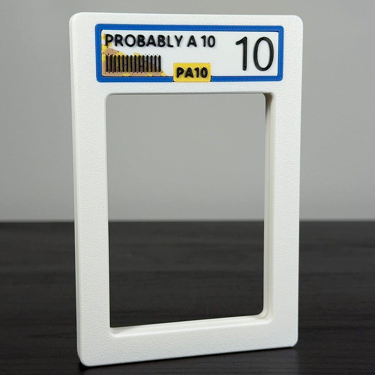 PA10 RawGuard – "Probably A 10" – Rauk