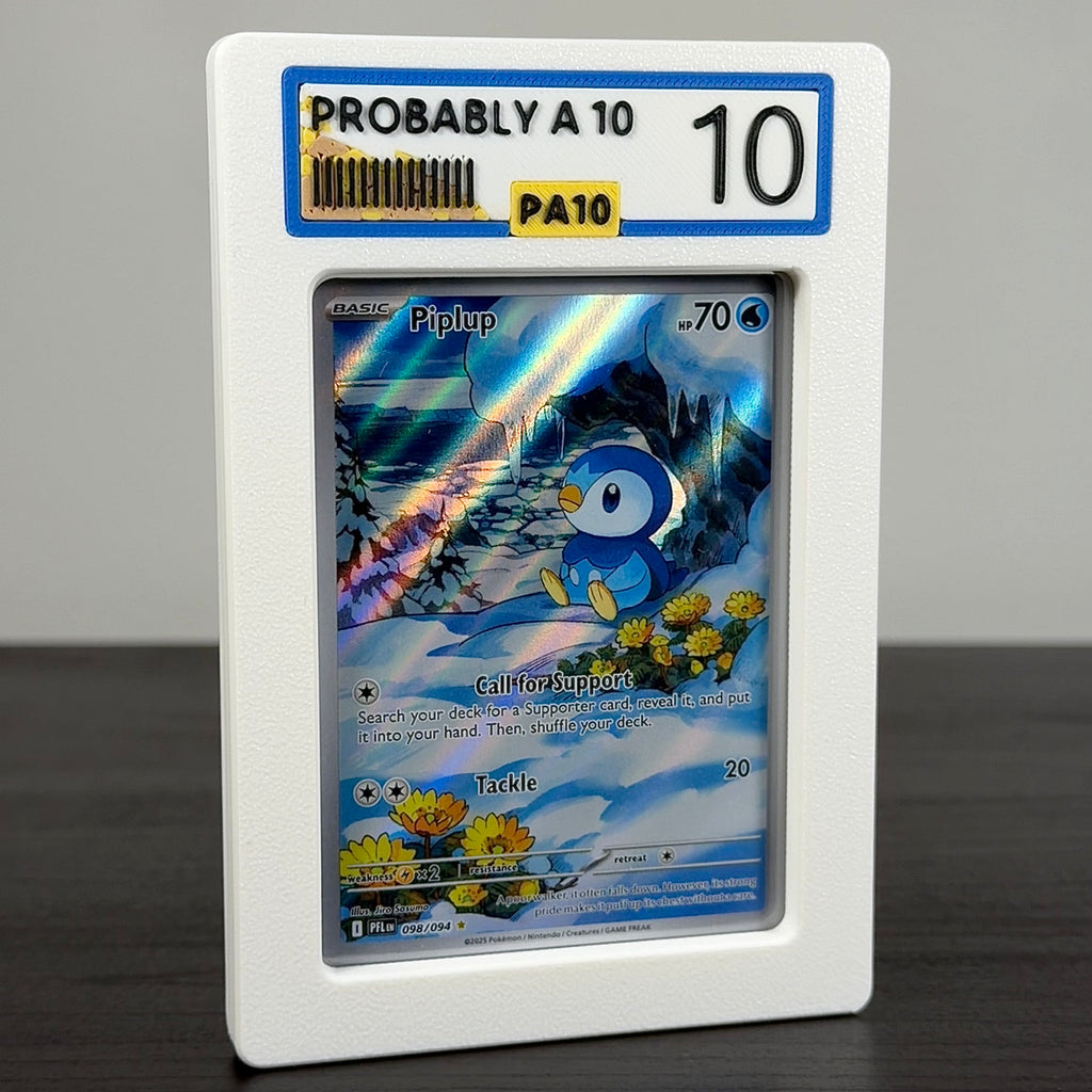 PA10 RawGuard – "Probably A 10" – Rauk