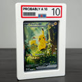 PA10 RawGuard – "Probably A 10" – PSA