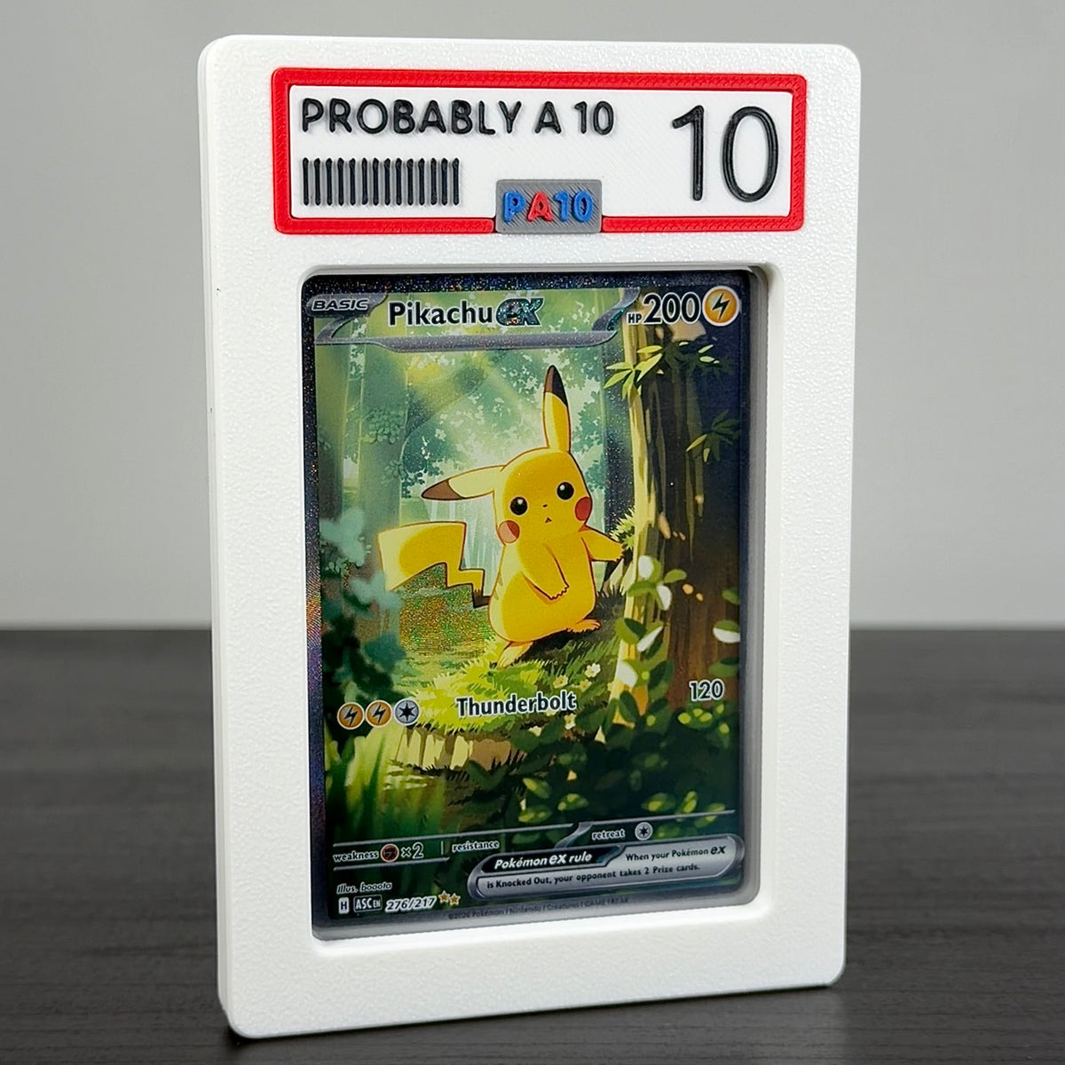 PA10 RawGuard – "Probably A 10" – PSA